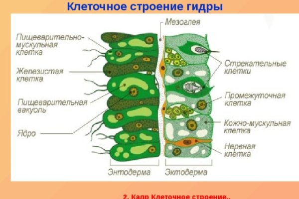 Зеркало меги тор браузер