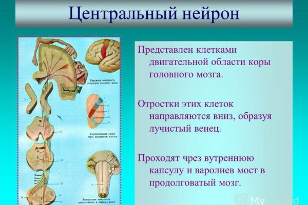 Сайт кракен оригинал