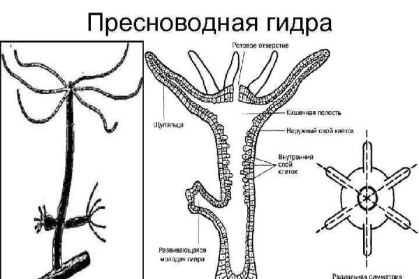 Омг сайт в тор браузере ссылка зеркала